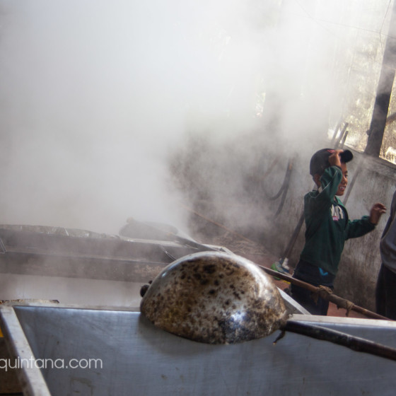 Fotografía documental, el cañaduzal en el Huila