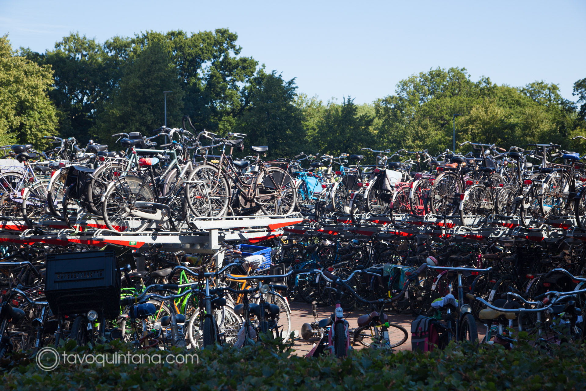 Bicis en Europa, fotografía de calle